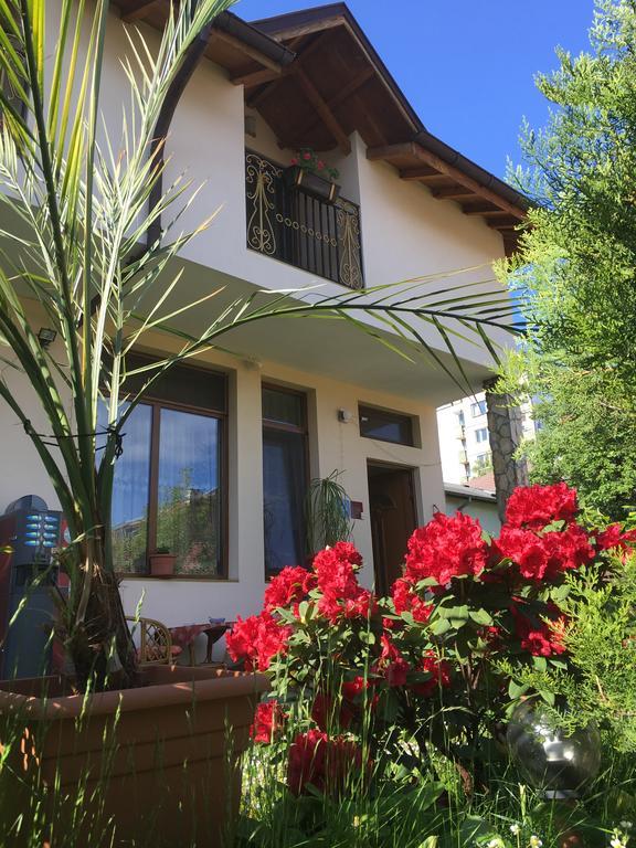Guesthouse Elizabeth Самоков Екстер'єр фото